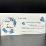 Plic de dar - Young 06
