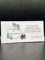 Plic de dar - Young 05