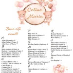 Lista de invitati pentru botez 02