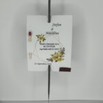 Artificii de mana - Young 12