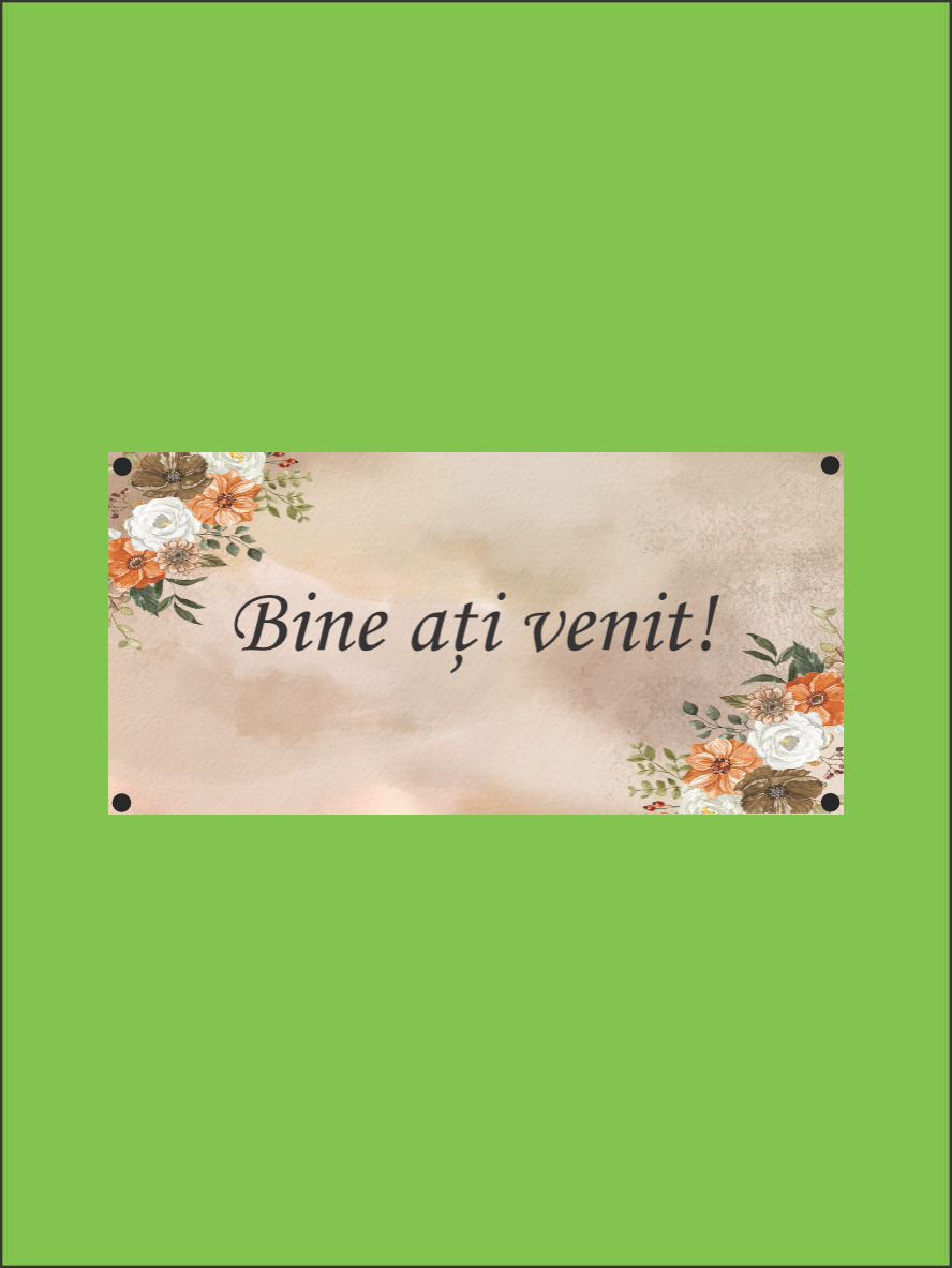 b8,2 Banner Vintage 07 - imagine 1