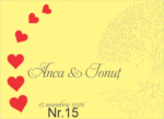 Album personalizat din lemn gravat - imagine 16