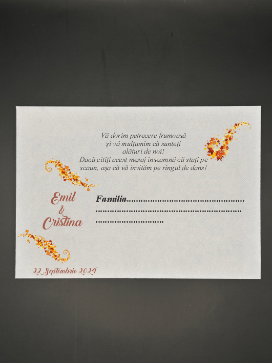 T12 Plic de dar clasic personalizat - Tonlist 12 - imagine 1