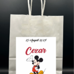 Punga pentru botez 07